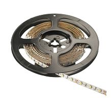Лента Flash 3528, 300 LED холодный белый, 4.8Вт без силикона 8мм, 50м, 12В, (метражом)